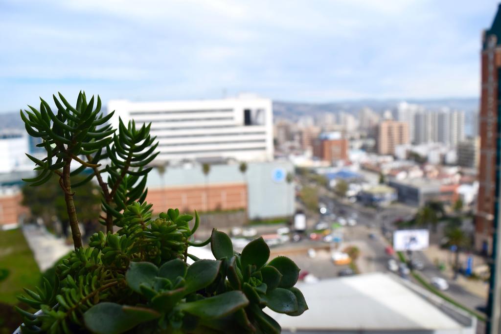 Departamentos Alto Libertad Vina del Mar